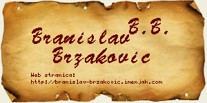 Branislav Brzaković vizit kartica